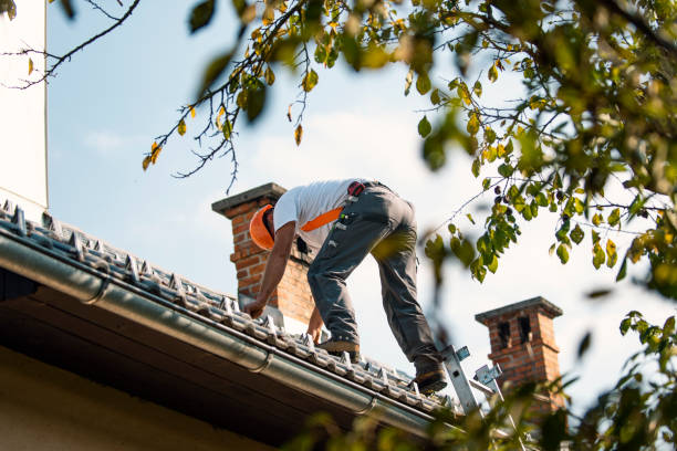 Quick and Trustworthy Emergency Roof Repair Services in Montgomery, MN