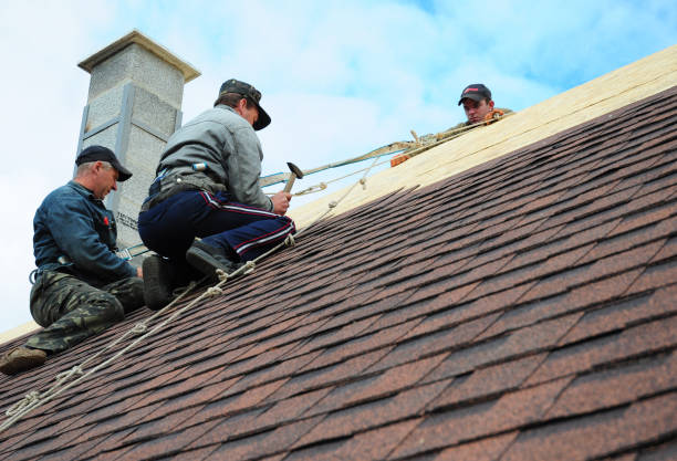 Best Commercial Roofing Services  in Montgomery, MN