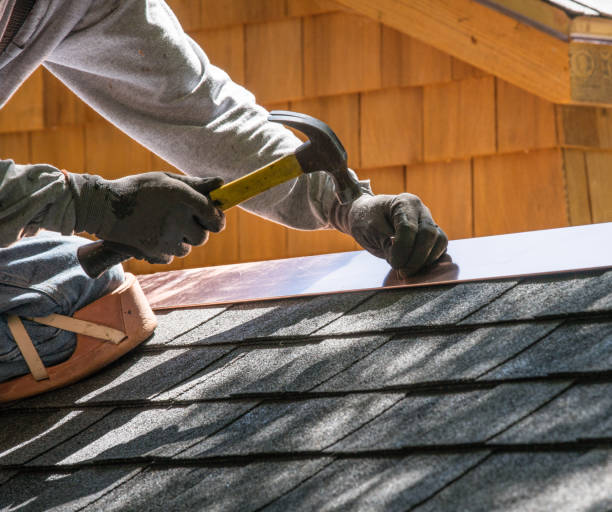 Best Roof Gutter Cleaning  in Montgomery, MN